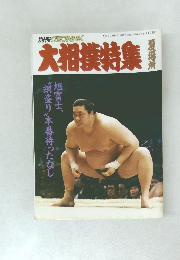 大相撲特集　平成元年5月1日発行