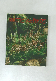 エビネの作り方