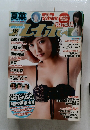 Weekly Playboy 2013年11/25号　No.47