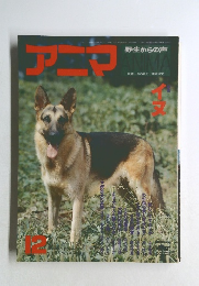 アニア　イヌ　12月号