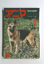 アニア　イヌ　12月号