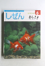しぜん6　きんぎょ