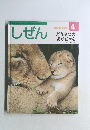 キンダーブック  4  どうぶつのあかちゃん