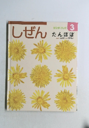しぜん3　たんぽぽ