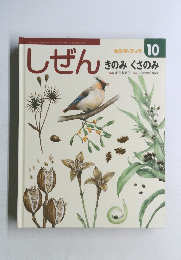 しぜん 10 きのみ くさのみ