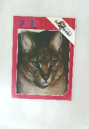 ネコ  リトル・キャットの仲間