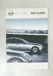 SKYLINE