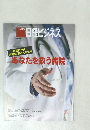 日経ビジネス　2013年4月