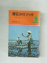 探石ガイドブック　日本の石のすべて