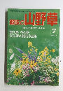 趣味の山野草　1993年7月号