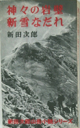 神々の岩壁 新雪なだれ