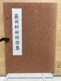 藤岡村村絵図集