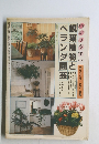かりやすい観葉植物とベランダ園芸　　デラックス・カラー百科
