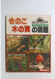 きのこ木の実の図鑑