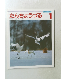 しぜんのせかい　1　たんちょうづる　