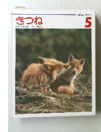 きつね5　写真・久保敬親文・北川幸比古