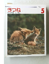 きつね5　写真・久保敬親文・北川幸比古