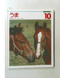 しぜんのせかい  10　うま