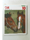 しぜんのせかい  10　うま
