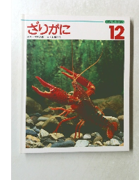 ざりがに12