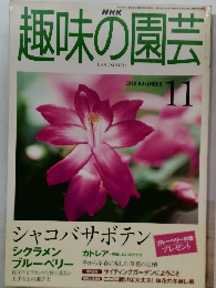 趣味の園芸　1999年11月号