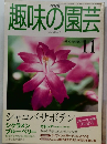 趣味の園芸　1999年11月号