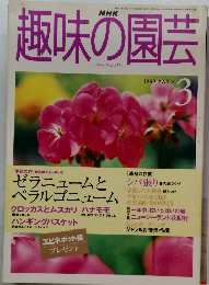 趣味の園芸　1999年3月号