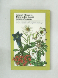 Alpine Flowers Fleurs des Alpes Alpenpflanzen