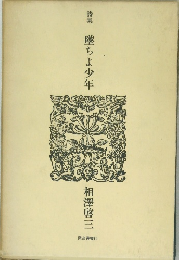 詩集墜ちょ少年