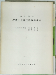 埋蔵文化財発掘調査報告 3