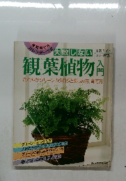 失敗しない　観葉植物入門