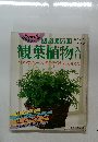 失敗しない　観葉植物入門