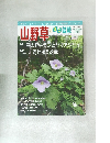 隔月刊 「山野草とミニ盆栽」15年陽春号