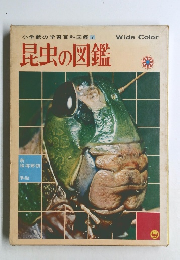 昆虫の図鑑