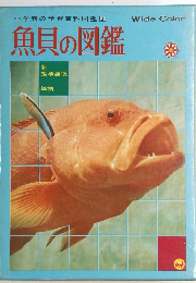 魚貝の図鑑