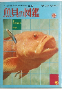 魚貝の図鑑