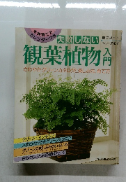 観葉植物入門　