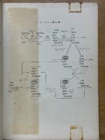 コーン・スタンプ　生化学