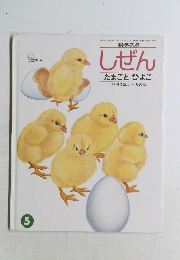しぜん　たまごとひよこ　5　[指導]柿澤亮三[絵]福武忍