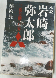 小説 岩崎弥太郎 