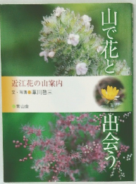 山で花と出会う