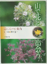 山で花と出会う