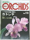 ニューオーキッド　No.170　2011年11月1日
