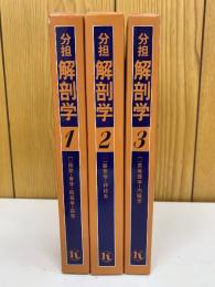 分担解剖学