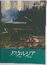 ノスタルジア  アンドレイ・タルコフスキー監督作品