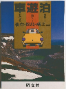 車遊泊