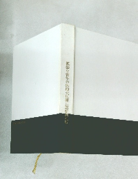 孤独な青年の休暇大江健三郎新潮社版