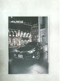 AURIS
