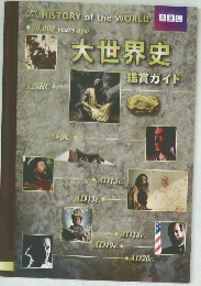 大世界史  鑑賞ガイド