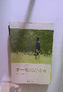 ポー川のひかり　2006年
